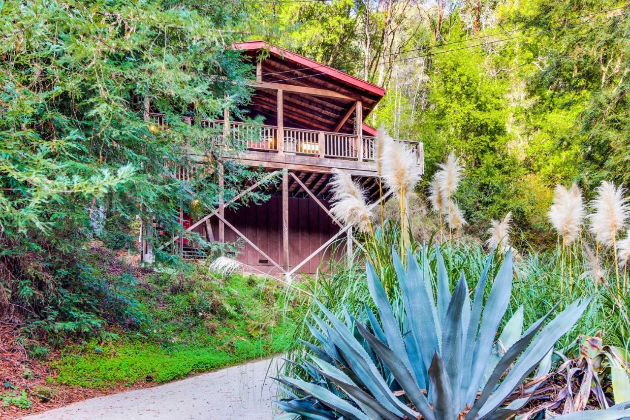 فيلا Tree Top View Cabin Felton المظهر الخارجي الصورة